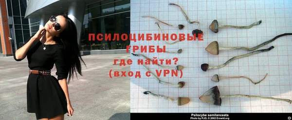 МДПВ Сафоново