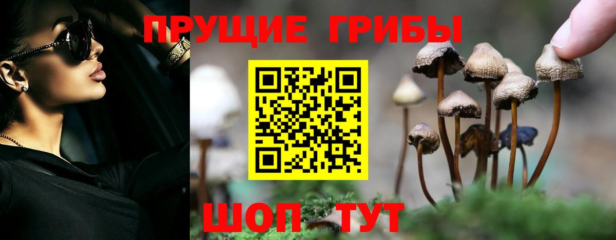 Галлюциногенные грибы мухоморы  Старая Купавна 